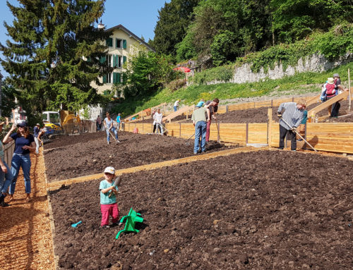 Atelier plantage du 5 mai