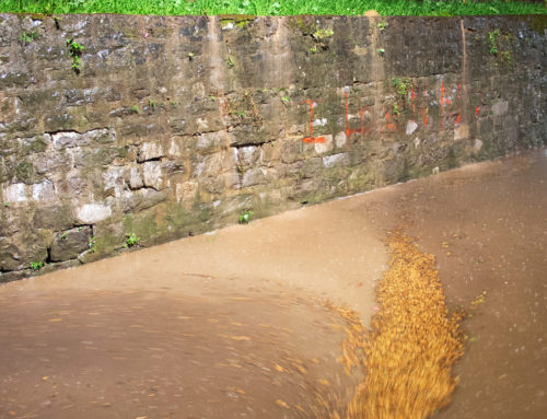 Orage et dégâts sur le plantage