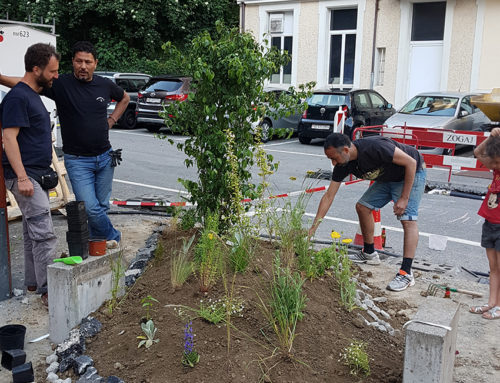 Timelapses des journées “Transformons la place du Vallon“ des 15 et 16 juin 2019 derniers