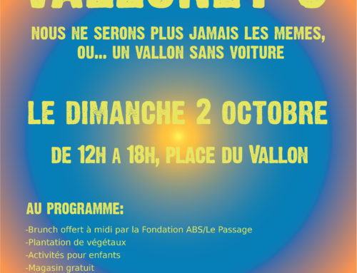 VALLONZY 3, le dimanche 2 octobre de 12h à 18h sur la place du Vallon!