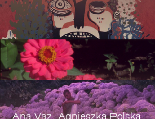 Projections à la Friche du Vallon, ce vendredi 5 juillet à 21h30!